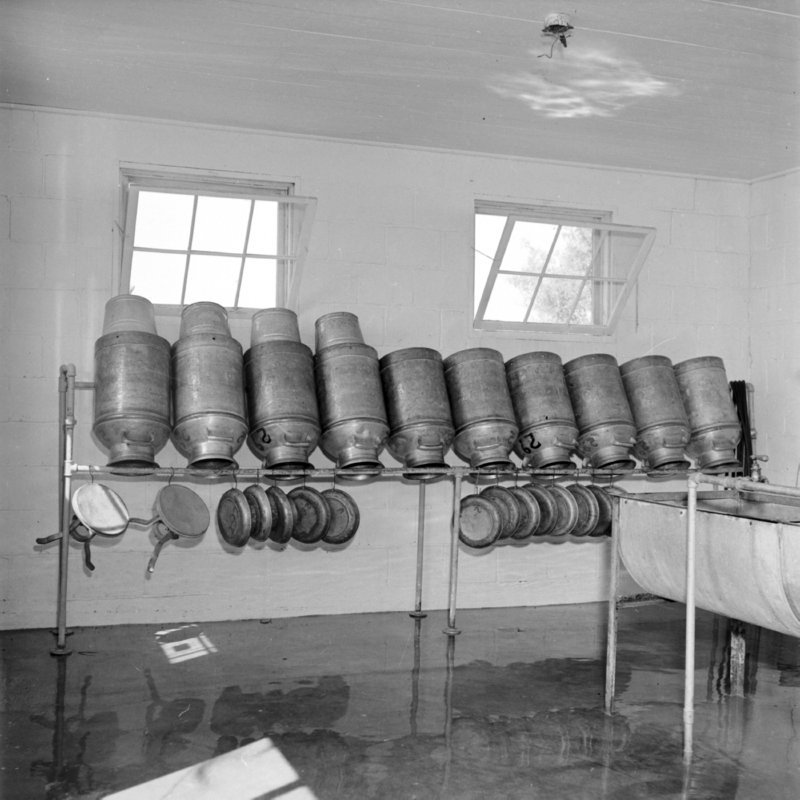 087_Milk cans and lids, milking stools,... (undated).jpg